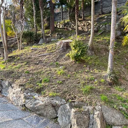 Frankie's House Отель типа 