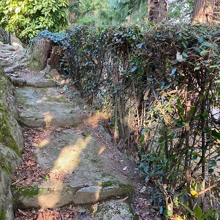 Frankie's House Гиффа