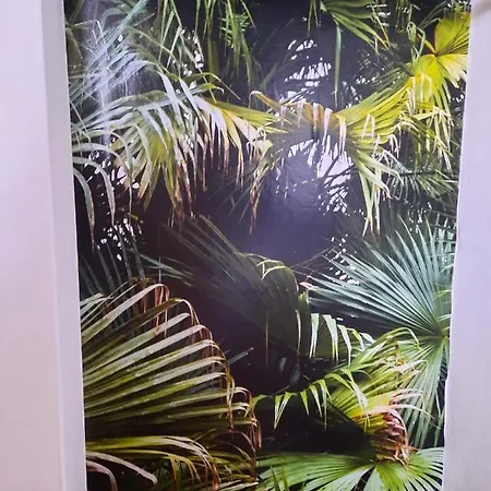 Frankie's House Отель типа 