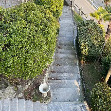 Frankie's House 기파
