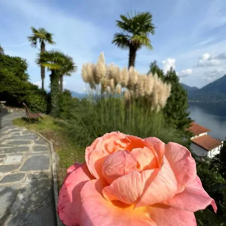 Frankie's House Отель типа 