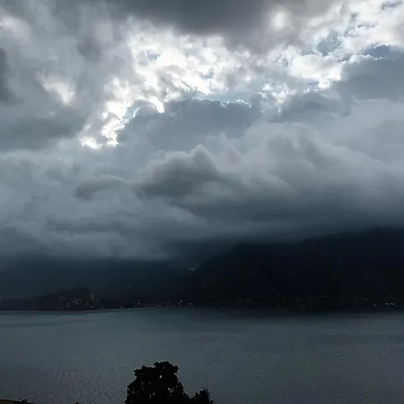 Frankie's House Гиффа