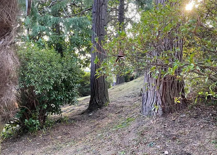 Frankie's House فندق مبيت وإفطار 3*